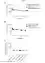 Fig. 16 - BISPECIFIC AND MULTISPECIFIC ANTIBODIES AND METHOD FOR ISOLATION OF SUCH