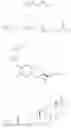 Fig. 19 - CHITIN DERIVATIVES, METHOD FOR PRODUCTION AND USES THEREOF