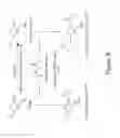 Fig. 07 - VANILLIN METHACRYLATES AND POLYMERS THEREFROM