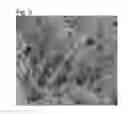 Fig. 03 - FLUORORESIN AND METHOD FOR ITS PRODUCTION