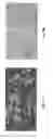 Fig. 02 - Electrode Slurries Containing Halogenated Graphene Nanoplatelets, and Production and Uses Thereof