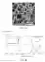 Fig. 04 - Three-dimensional porous structure of parylene