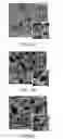 Fig. 05 - Three-dimensional porous structure of parylene