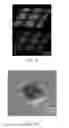 Fig. 08 - Three-dimensional porous structure of parylene