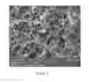 Fig. 06 - Artificial timber and method for preparing artificial timber