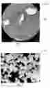 Fig. 03 - Polymer powder and method of preparing the same