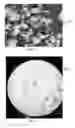 Fig. 04 - Polymer powder and method of preparing the same