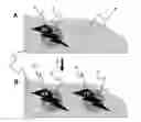 Fig. 01 - Aqueous inkjet inks