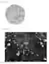 Fig. 02 - Powder of hexagonal boron nitride, process for producing same, resin composition, and resin sheet
