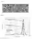 Fig. 04 - Powder of hexagonal boron nitride, process for producing same, resin composition, and resin sheet