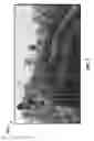 Fig. 02 - Date tree waste-based compound fibrous LCMs