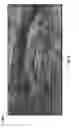 Fig. 03 - Date tree waste-based compound fibrous LCMs