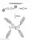 Fig. 01 - Liquid crystalline epoxy compound with terminal mesogen connected by flexible linkage and method for preparing the same