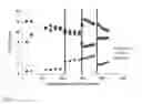Fig. 04 - Conversion of oxygenates to hydrocarbons with variable catalyst composition