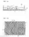 Fig. 06 - CELL CULTURE VESSEL