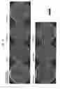 Fig. 09 - Culture container and cell culturing method and cell observation method using culture container