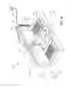 Fig. 15 - Switching valve and suction-discharge device including the same