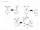 Fig. 02 - Substrate for supporting cells and method for producing same