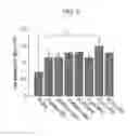 Fig. 05 - Substrate for supporting cells and method for producing same