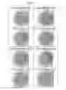 Fig. 10 - Substrate for supporting cells and method for producing same