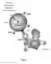 Fig. 02 - Cells for immunotherapy engineered for targeting antigen present both on immune cells and pathological cells