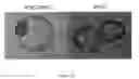 Fig. 08 - In vitro production of expanded potential stem cells