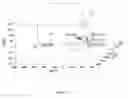 Fig. 19 - In vitro production of expanded potential stem cells