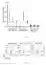 Fig. 22 - In vitro production of expanded potential stem cells