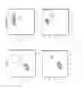 Fig. 29 - In vitro production of expanded potential stem cells