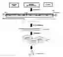 Fig. 01 - Method for rapid generation of an attenuated RNA virus