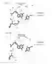 Fig. 07 - MODIFIED FNCAS9 PROTEIN AND USE THEREOF