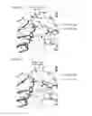 Fig. 08 - MODIFIED FNCAS9 PROTEIN AND USE THEREOF