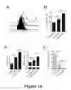 Fig. 35 - Compounds for inducing anti-tumor immunity and methods thereof
