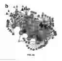 Fig. 06 - DROUGHT TOLERANT PLANT SYSTEM
