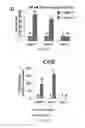 Fig. 08 - Compositions, systems and methods for cell therapy