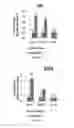 Fig. 09 - Compositions, systems and methods for cell therapy