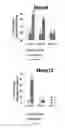 Fig. 11 - Compositions, systems and methods for cell therapy