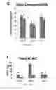 Fig. 14 - Compositions, systems and methods for cell therapy