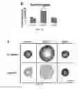 Fig. 15 - Compositions, systems and methods for cell therapy