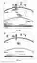 Fig. 19 - Compositions, systems and methods for cell therapy