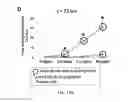 Fig. 23 - Compositions, systems and methods for cell therapy