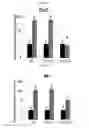 Fig. 29 - Compositions, systems and methods for cell therapy
