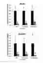 Fig. 32 - Compositions, systems and methods for cell therapy