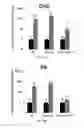 Fig. 33 - Compositions, systems and methods for cell therapy
