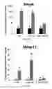 Fig. 35 - Compositions, systems and methods for cell therapy