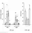 Fig. 05 - Gene therapy methods
