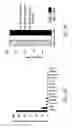 Fig. 13 - Gene therapy methods
