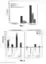 Fig. 02 - Compounds and methods for enhancing viral gene transfer to human hematopoietic cells