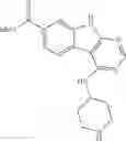 Fig. 48 - Compounds and methods for enhancing viral gene transfer to human hematopoietic cells