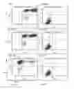 Fig. 22 - Pseudotyping of retroviral vectors, methods for production and use thereof for targeted gene transfer and high throughput screening